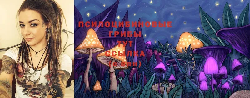 Галлюциногенные грибы MAGIC MUSHROOMS  даркнет сайт  Пермь 